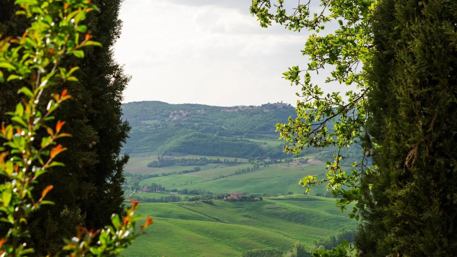 Appartamento Con Vista - Montepulciano Italy